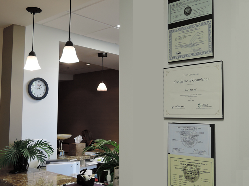 Algunos de los certificados y licencias de la Dra. Arnold